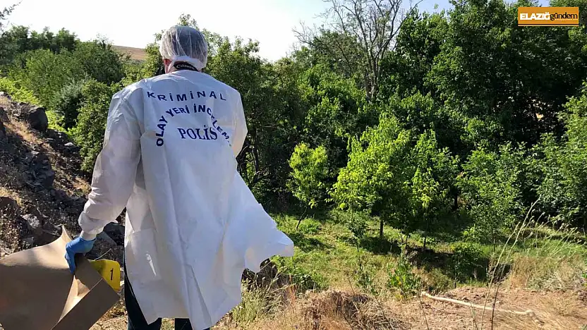 Elazığ'da ağaca asılı halde erkek cesedi bulundu