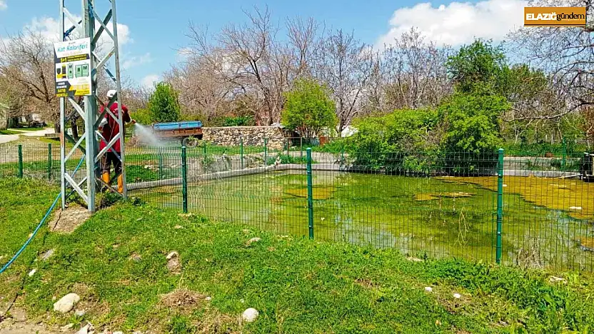 Elazığ'da larva ilaçlama çalışmaları sürüyor