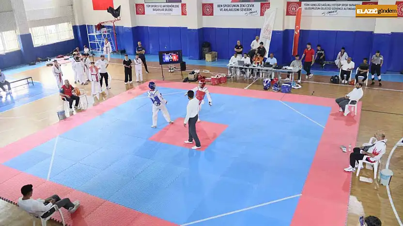 Elazığ'da taekwondo heyecanı