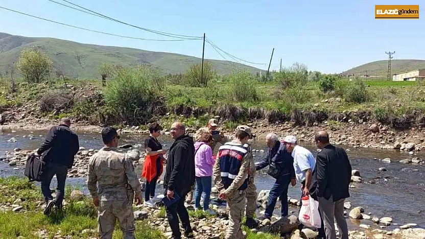 Karakoçan'da deredeki balık ölümleri için numuneler alındı